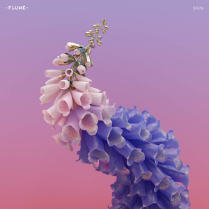 Flume-Skin