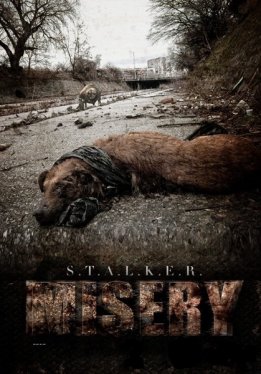 S.T.A.L.K.E.R.: Call of Misery